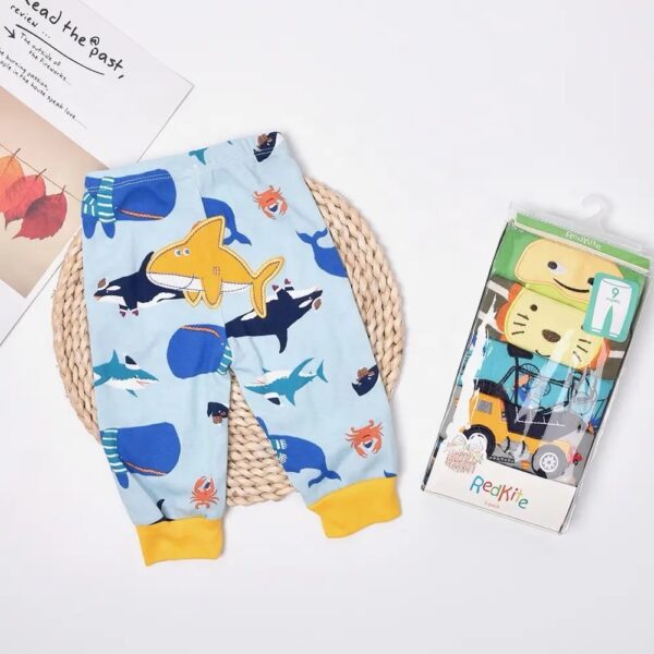 Baby Boy Pants Set